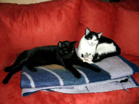 Klicken zum Vergrößern