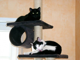 Klicken zum Vergrößern