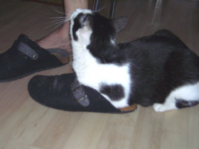 Klicken zum Vergrößern