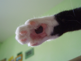 Klicken zum Vergrößern