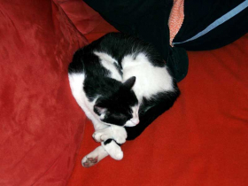 Klicken zum Vergrößern